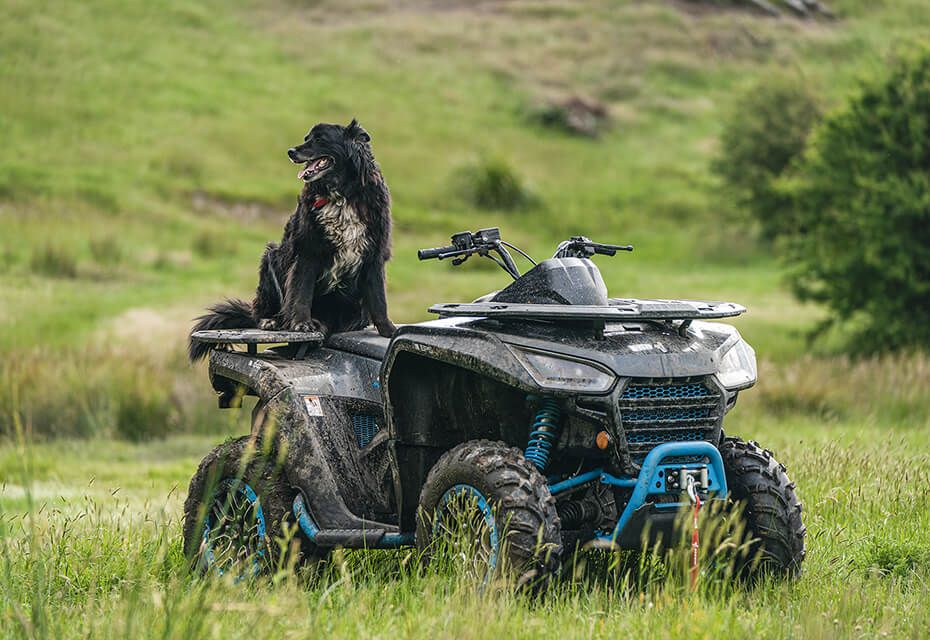 Unsere Fahrzeuge sind Ihr treuer Begleiter on- und offroad.